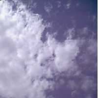 sky01.jpg