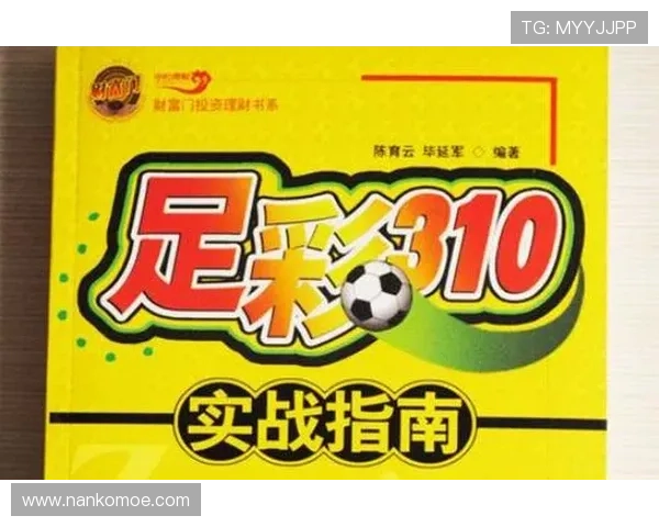专业分析310足彩预测技巧结合专家意见助你制定科学合理的投注计划提升盈利空间